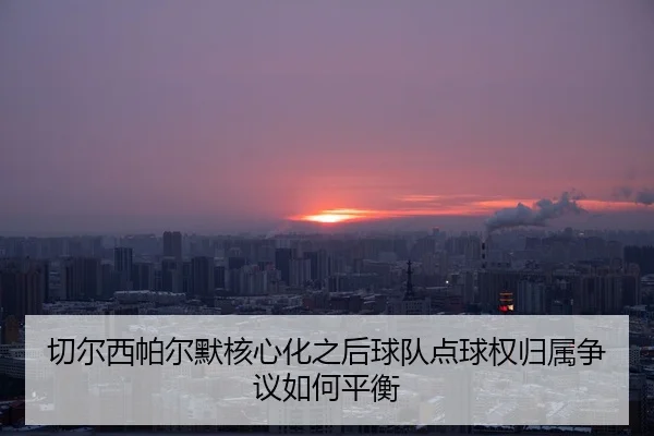 切尔西帕尔默核心化之后球队点球权归属争议如何平衡